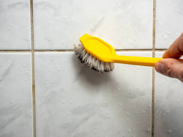 Best Same-Day Mold Removal  in Brushy Creek, TX