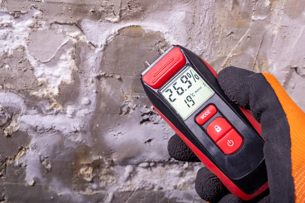 Best Mold Testing  in Brushy Creek, TX