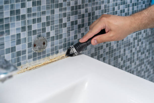 Best Black Mold Removal  in Brushy Creek, TX
