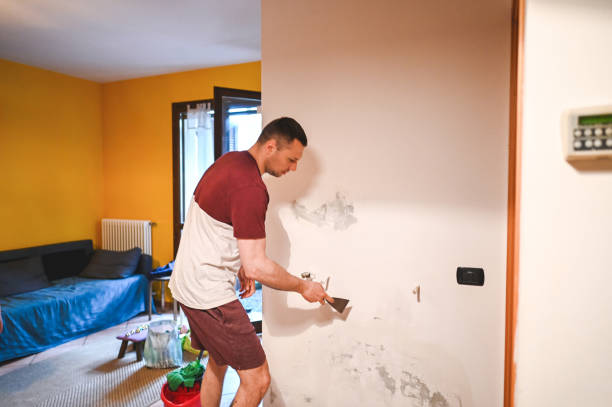 Best Toxic Mold Removal  in Brushy Creek, TX