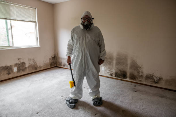 Best Mold Cleaning Services  in Brushy Creek, TX